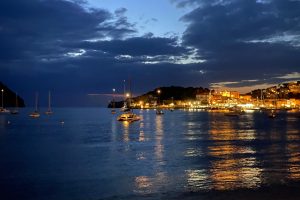 IMG_1353